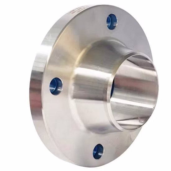 Flangia RF in acciaio inossidabile 304 316L con piastra DIN Pn16 BS4504