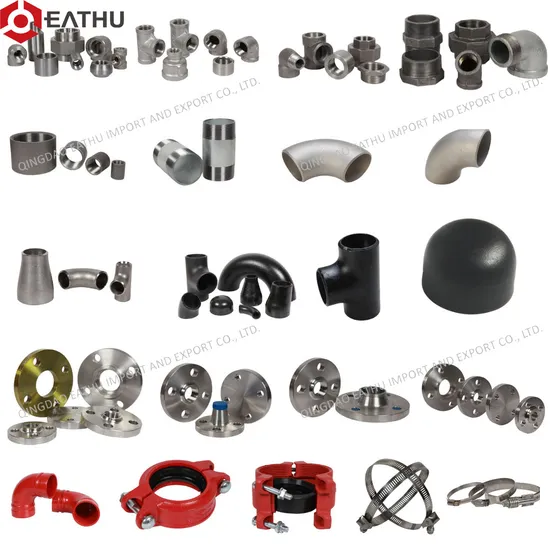 Raccordi per tubi in acciaio inossidabile ad alta pressione da 3000 libbre 6000 libbre all'ingrosso