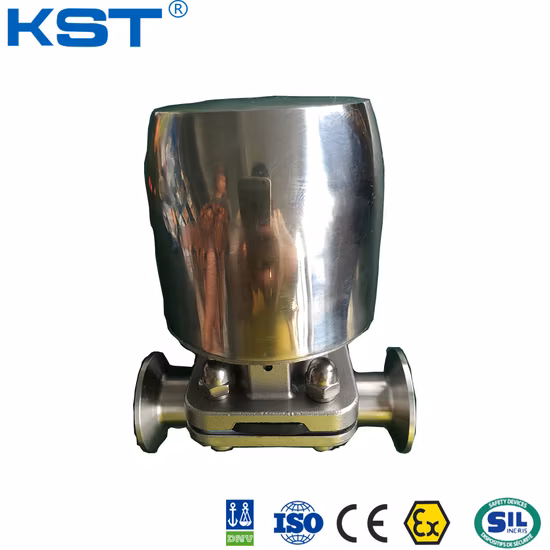 Valvola sanitaria DIN/3A/Bpe Valvola in acciaio inossidabile Sfera pneumatica/Farfalla/Controllo/Membrana/Sede di deviazione/Valvola di campionamento con certificato FDA